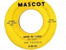 Rare Doo Wop The Pastels   Been So Long 45 Mascot VG HEAR