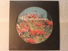 Acid Mothers Temple & The Melting Paraiso U.F.O. - 41st Century PICTURE disc LP