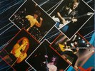 The Michael Schenker Group. One Night At Budokan Live 1981