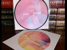 If I Can't Have You SIGNED Lithograph by SHAWN MENDES Limited Picture Disc LP