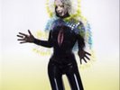 Bjork-Vulnicura Vinyl / 12