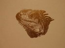 3 x LP: Mauro Picotto - The Album - Zeitgeist - ALB 005, BXR - ALB 005