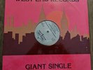 SEALED Vinyl Disco 12