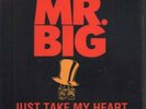 MR BIG (METAL GROUP) Just Take My Heart 7