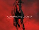 CARL ORFF CARMINA BURANA