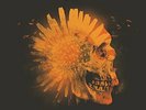Barns Courtney - The Attractions Of Youth [New Vinyl LP]