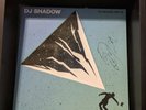 DJ Shadow The Mountain Will Fall Vinyl Record Autographed By Shadow SIGNED
