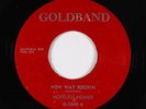 C&W Bopper 45 - Hopeless Homer - New Way Rockin - Goldband - VG+ mp3