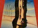 The Kinks   
