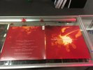 NICKEL CREEK WHY SHOULD THE FIRE DIE? VINYL LP RECORD