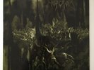 EMPEROR ANTHEMS TO THE WELKIN AT DUSK Candlelight Records 1997 Vinyl LP