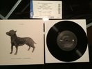 PJ Harvey Limited-Edition Vinyl 45 A Dog Called Money/I’ll Be Waiting W/ Tkt