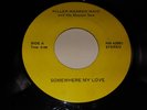MUSICAL SAW RECORD- KILLER WARREN WAID Mansion On the Hill/ Somewhere My Love