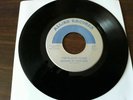 The Plastic Cloud-Shadows Of Your Mind / Dainty General Rides 45RPM mt