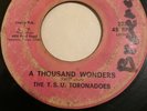 RARE TSU Toronadoes A Thousand Wonders OVIDE 45 Northern Soul Texas LISTN T.S.U.
