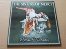 sisters of mercy -opened paradise - 2 x lp - color test - only one copy exist 2
