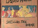 Liquid Hippos Shellac The Bozak 1988 Ultrasuede LP Afghan Whigs Lyrics Insert EX