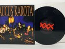 Daucus Karota - Shrine 10