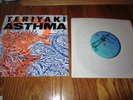 Teriyaki Asthma VINYL CZ009 NIRVANA HELLOS CREED YEAST COFFIN BREAK LIMITED 1989