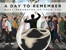 A Day To Remember ?- What Separates Me From You LP - SEALED Vinyl Album Hardcore