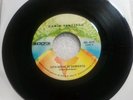 Dawin Santiago Soplalo / Esta Noche Te Despierto MICROFON MS-4570 VG 45 #276