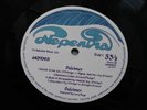 DULCIMER And I Turned As I Had Turned As a Boy RARE ORIG UK NEPENTHA EX– LP.