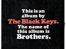Brothers by The Black Keys (Vinyl, May-2010, 2 Discs, V2 (USA))