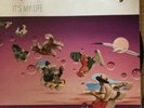 It’s My Life - RARE Talk Talk - Test Pressing Vinyl