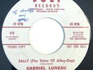 * GABRIEL LUNEAU Sally (the Sister Of Alley-oop) GARAGE TITTYSHAKER Joli 45 HEAR