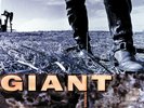 Giant ?– Last Of The Runaways (1989) A&M Records vg+/M- Huff brothers vinyl LP