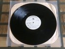 U2: The Fly - Rare *SPECIALITY RECORDS* 1991 USA Test Pressing 12