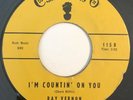 * RAY VERNON I'm Countin' On You/Terry ROCKABILLY ROCKER Cameo 45 HEAR