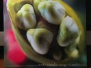Fiona Apple Extraordinary Machine Vinyl LP Overall Excellent+ Condition