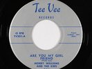 Doo-Wop 45 - Morry Williams & the Kids - Are You My Girl Friend - Tee Vee - VG+
