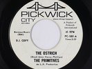 Garage 45 - Primitives - Ostrich - Pickwick - Lou Reed/pre-Velvet Underground