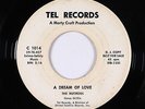 Doo-Wop 45 - Nutmegs - A Dream Of Love - Tel - mp3