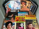 Easy listening / rock & roll vinyl bundle Elvis / Chubby Checker / McCoys ++ 33A