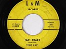 Rockabilly Inst. 45 - Sting Rays - Fast Track - L & M - mp3