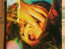 The Flaming Lips Embryonic LP  colored Vinyl 2009 blue and yellow.