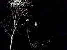 UNDER A FUNERAL MOON VINYL LP NEW