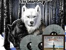 Cody Jinks - The Wanting After The Fire 3LP NEW POLTERGEIST VINYL