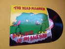 LP The Dead Milkmen ?– Big Lizard In My Backyard (EX+/EX+) ToP CoPy Punk Rock ç