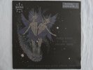 RARE VINYL ANIMAL COLLECTIVE SPIRIT THEY'RE GONE VANISHED AYEY TARE PANDA BEAR