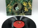 SCHUBERT UNFINISHED & Symphony No. 5 REINER RCA LSC-2516 Shaded Dog