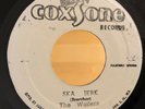 Reggae 45 THE WAILERS Ska Jerk / I'm Still Waiting COXSONE VG+/VG++ Jamaica