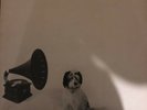 SPLODGENESSABOUNDS LP Vinyl UK Max Splodge Simon Templer Two Little Boys Oi Oi