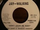 RAY GANT & ARABIAN KNIGHTS 