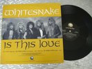 Whitesnake ? 