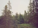 Gidge - Autumn Bells Vinyl LP