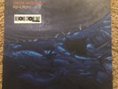 TEDESCHI TRUCKS BAND - High And Mighty 2019 RSD Vinyl 12